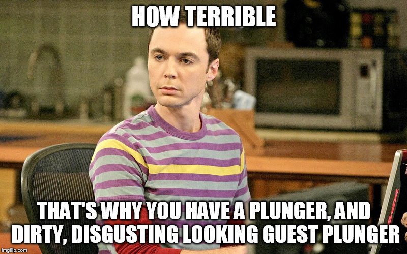 HOW TERRIBLE THAT'S WHY YOU HAVE A PLUNGER, AND DIRTY, DISGUSTING LOOKING GUEST PLUNGER | image tagged in sheldon 1 | made w/ Imgflip meme maker