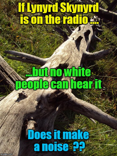 Classic rock at a minority BBQ can be potentially awkward  | If Lynyrd Skynyrd is on the radio .... ...but no white people can hear it; Does it make a noise  ?? | image tagged in memes,fuuny,front page | made w/ Imgflip meme maker