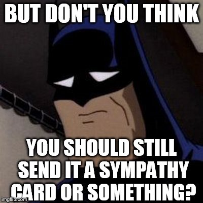 BUT DON'T YOU THINK YOU SHOULD STILL SEND IT A SYMPATHY CARD OR SOMETHING? | image tagged in sad batman | made w/ Imgflip meme maker