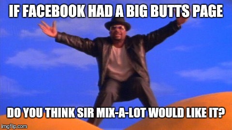 IF FACEBOOK HAD A BIG BUTTS PAGE; DO YOU THINK SIR MIX-A-LOT WOULD LIKE IT? | image tagged in sir mix alot,big butts,baby got back | made w/ Imgflip meme maker