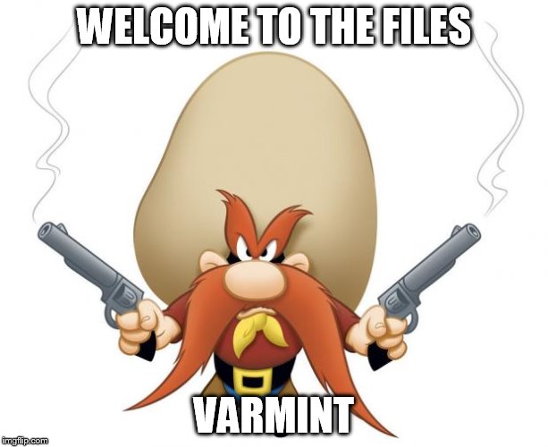 Yosemite Sam | WELCOME TO THE FILES; VARMINT | image tagged in yosemite sam | made w/ Imgflip meme maker