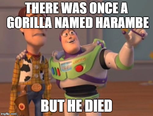 X, X Everywhere | THERE WAS ONCE A GORILLA NAMED HARAMBE; BUT HE DIED | image tagged in memes,x x everywhere | made w/ Imgflip meme maker