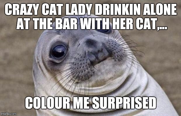 Awkward Moment Sealion Meme | CRAZY CAT LADY DRINKIN ALONE AT THE BAR WITH HER CAT,... COLOUR ME SURPRISED | image tagged in memes,awkward moment sealion | made w/ Imgflip meme maker