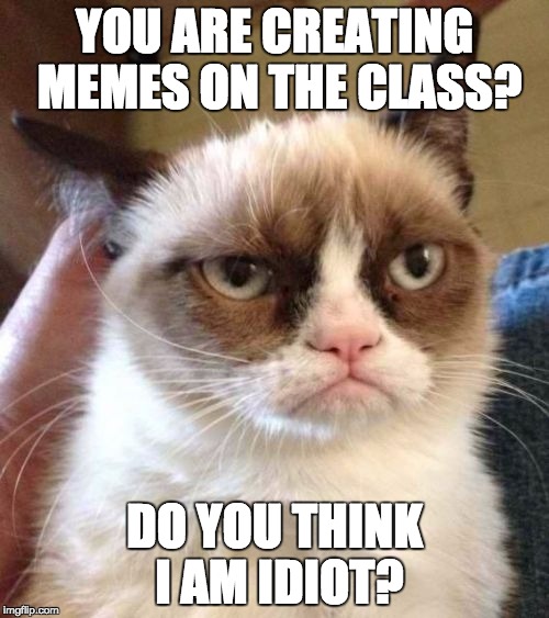 Grumpy Cat Reverse Meme | YOU ARE CREATING MEMES ON THE CLASS? DO YOU THINK I AM IDIOT? | image tagged in memes,grumpy cat reverse,grumpy cat | made w/ Imgflip meme maker