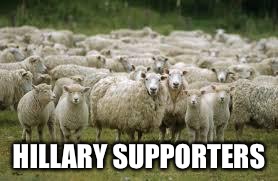 sheeps | HILLARY SUPPORTERS | image tagged in sheeps | made w/ Imgflip meme maker