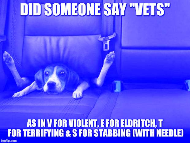 funny dog back seat | DID SOMEONE SAY "VETS"; AS IN V FOR VIOLENT, E FOR ELDRITCH, T FOR TERRIFYING & S FOR STABBING (WITH NEEDLE) | image tagged in funny dog back seat | made w/ Imgflip meme maker