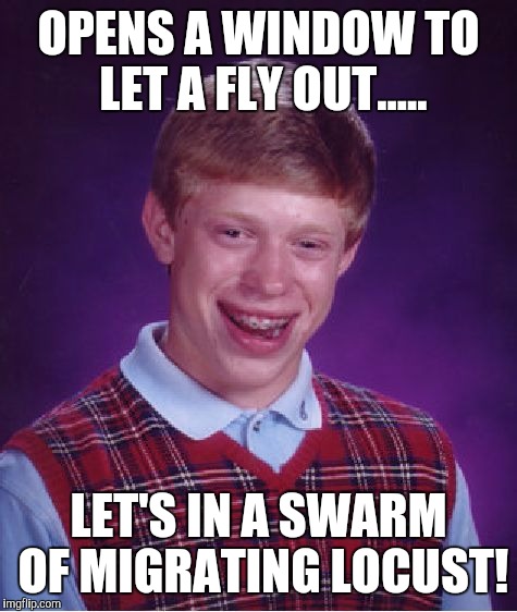Bad Luck Brian | OPENS A WINDOW TO LET A FLY OUT..... LET'S IN A SWARM OF MIGRATING LOCUST! | image tagged in memes,bad luck brian | made w/ Imgflip meme maker