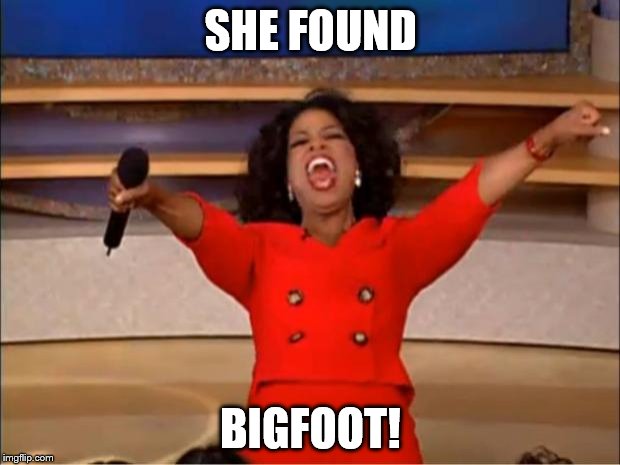 Oprah You Get A Meme | SHE FOUND BIGFOOT! | image tagged in memes,oprah you get a | made w/ Imgflip meme maker