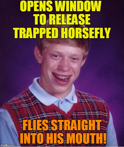 Bad Luck Brian Meme | OPENS WINDOW TO RELEASE TRAPPED HORSEFLY FLIES STRAIGHT INTO HIS MOUTH! | image tagged in memes,bad luck brian | made w/ Imgflip meme maker