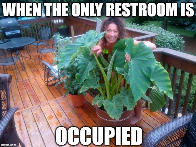 Occupied | WHEN THE ONLY RESTROOM IS; OCCUPIED | image tagged in help | made w/ Imgflip meme maker