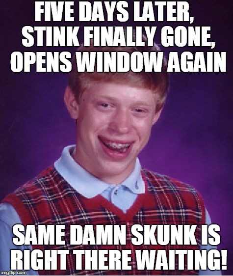 Bad Luck Brian Meme | FIVE DAYS LATER,  STINK FINALLY GONE,  OPENS WINDOW AGAIN SAME DAMN SKUNK IS RIGHT THERE WAITING! | image tagged in memes,bad luck brian | made w/ Imgflip meme maker