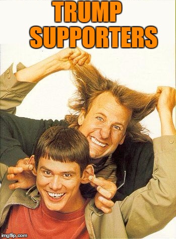 DUMB and dumber | TRUMP  
SUPPORTERS | image tagged in dumb and dumber | made w/ Imgflip meme maker