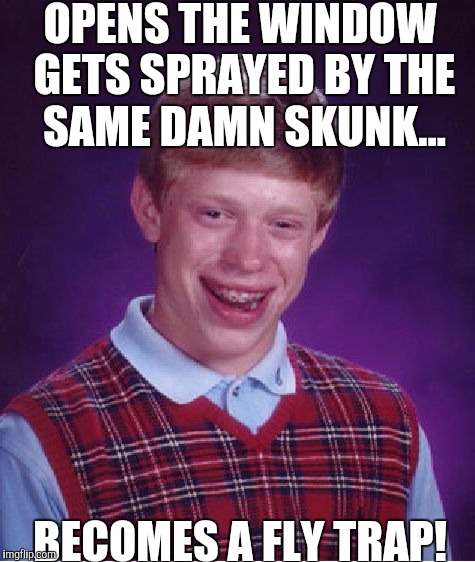 Bad Luck Brian Meme - Imgflip