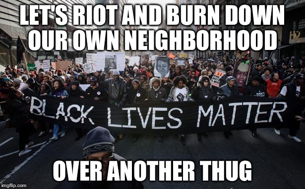 Black lives matter | LET'S RIOT AND BURN DOWN OUR OWN NEIGHBORHOOD; OVER ANOTHER THUG | image tagged in black lives matter | made w/ Imgflip meme maker