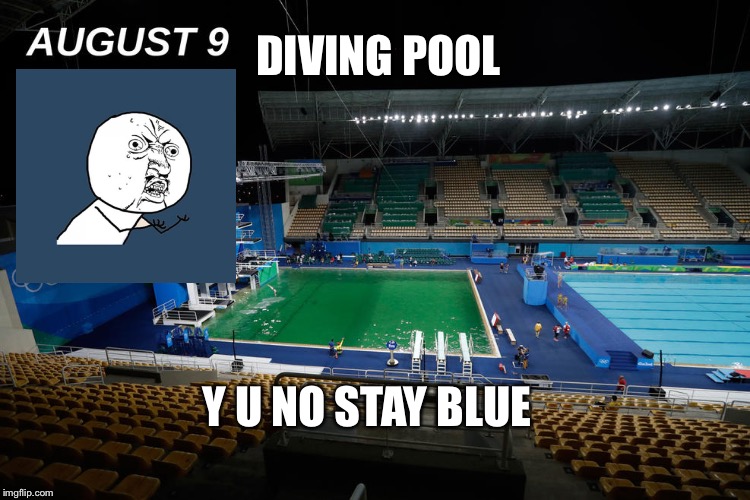 Algae blooms, algae blooms everywhere | DIVING POOL; Y U NO STAY BLUE | image tagged in green pool,memes | made w/ Imgflip meme maker