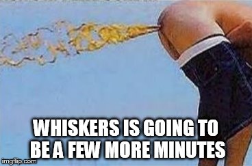 WHISKERS IS GOING TO BE A FEW MORE MINUTES | made w/ Imgflip meme maker