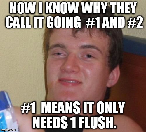 10 Guy | NOW I KNOW WHY THEY CALL IT GOING  #1 AND #2; #1  MEANS IT ONLY NEEDS 1 FLUSH. | image tagged in memes,10 guy | made w/ Imgflip meme maker