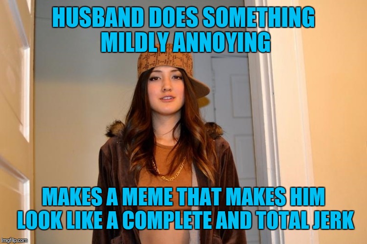 Scumbag Stephanie  | HUSBAND DOES SOMETHING MILDLY ANNOYING; MAKES A MEME THAT MAKES HIM LOOK LIKE A COMPLETE AND TOTAL JERK | image tagged in scumbag stephanie | made w/ Imgflip meme maker
