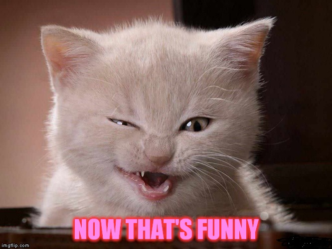 NOW THAT'S FUNNY | made w/ Imgflip meme maker