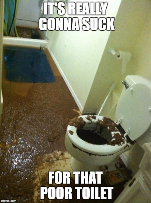 IT'S REALLY GONNA SUCK FOR THAT POOR TOILET | made w/ Imgflip meme maker