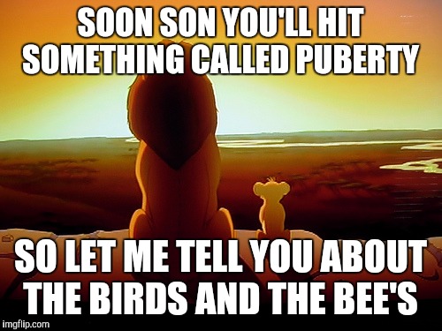 Lion King | SOON SON YOU'LL HIT SOMETHING CALLED PUBERTY; SO LET ME TELL YOU ABOUT THE BIRDS AND THE BEE'S | image tagged in memes,lion king | made w/ Imgflip meme maker