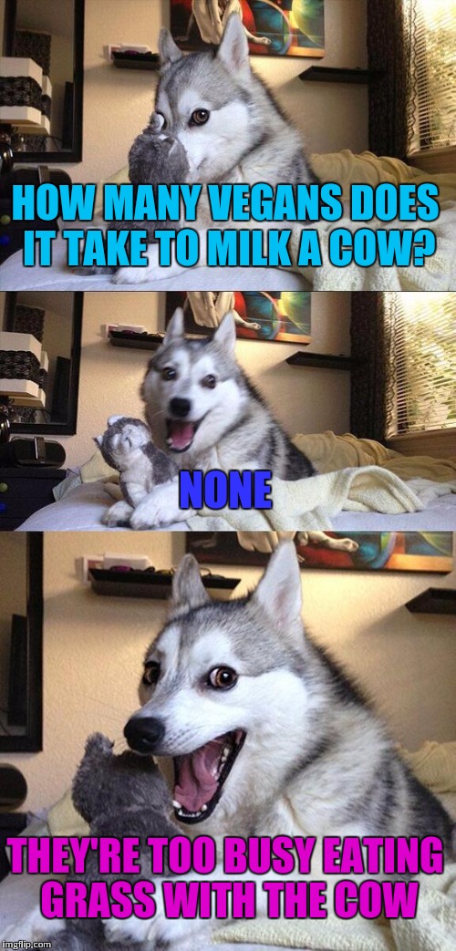 Pretty sure i'm not using this template right | HOW MANY VEGANS DOES IT TAKE TO MILK A COW? NONE; THEY'RE TOO BUSY EATING GRASS WITH THE COW | image tagged in memes,bad pun dog | made w/ Imgflip meme maker