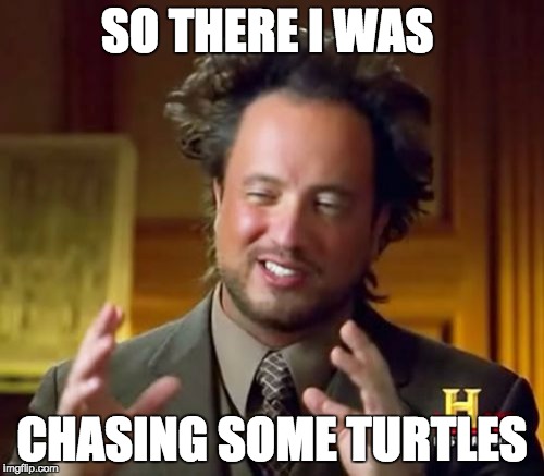 Ancient Aliens Meme | SO THERE I WAS; CHASING SOME TURTLES | image tagged in memes,ancient aliens | made w/ Imgflip meme maker