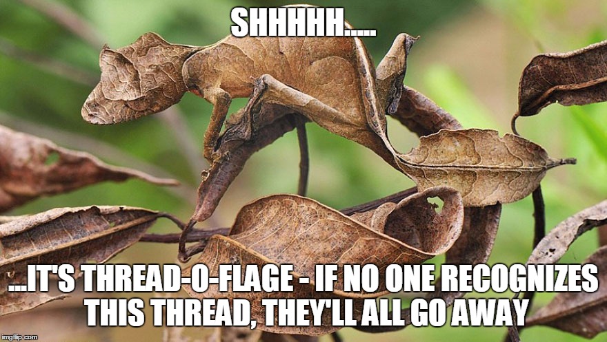 SHHHHH..... ...IT'S THREAD-O-FLAGE - IF NO ONE RECOGNIZES THIS THREAD, THEY'LL ALL GO AWAY | made w/ Imgflip meme maker