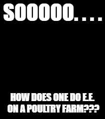 Little girl Dunno | SOOOOO. . . . HOW DOES ONE DO E.E. ON A POULTRY FARM??? | image tagged in little girl dunno | made w/ Imgflip meme maker
