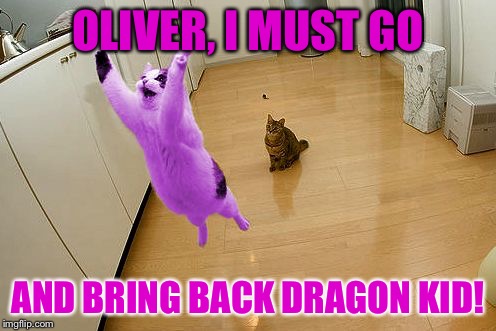 RayCat saves imgflip | OLIVER, I MUST GO; AND BRING BACK DRAGON KID! | image tagged in raycat save the world,memes,imgflip,dragon kid,starflightthenightwing | made w/ Imgflip meme maker