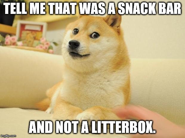 Doge 2 Meme | TELL ME THAT WAS A SNACK BAR; AND NOT A LITTERBOX. | image tagged in memes,doge 2,dog | made w/ Imgflip meme maker