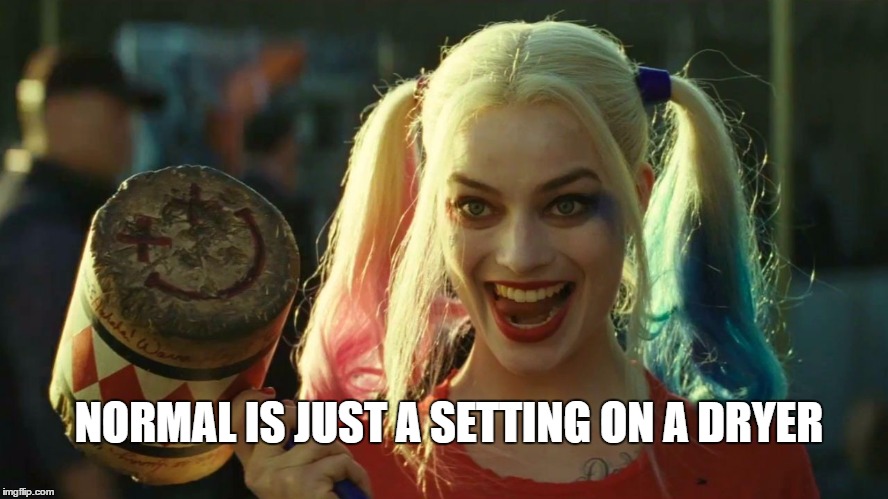 Harley Quinn hammer | NORMAL IS JUST A SETTING ON A DRYER | image tagged in harley quinn hammer | made w/ Imgflip meme maker