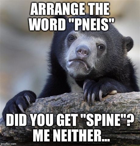 Is there something wrong with me? | ARRANGE THE WORD "PNEIS"; DID YOU GET "SPINE"? ME NEITHER... | image tagged in memes,confession bear | made w/ Imgflip meme maker