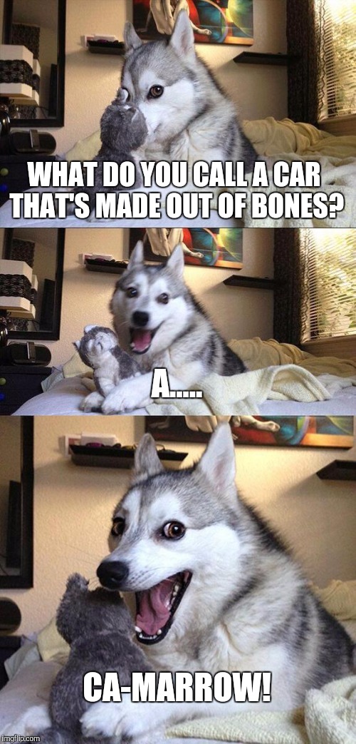 Bad Pun Dog | WHAT DO YOU CALL A CAR THAT'S MADE OUT OF BONES? A..... CA-MARROW! | image tagged in memes,bad pun dog | made w/ Imgflip meme maker