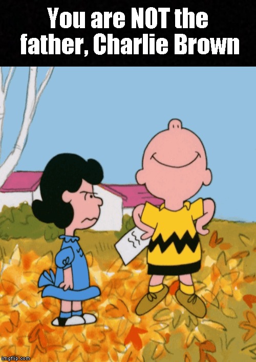 The new Charlie Brown book is here! | You are NOT the father, Charlie Brown | image tagged in funny memes,charlie brown,lucy,peanuts,baby daddy | made w/ Imgflip meme maker