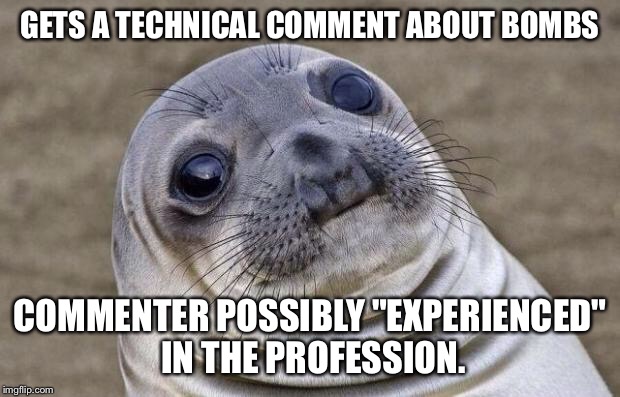 Awkward Moment Sealion Meme | GETS A TECHNICAL COMMENT ABOUT BOMBS COMMENTER POSSIBLY "EXPERIENCED" IN THE PROFESSION. | image tagged in memes,awkward moment sealion | made w/ Imgflip meme maker