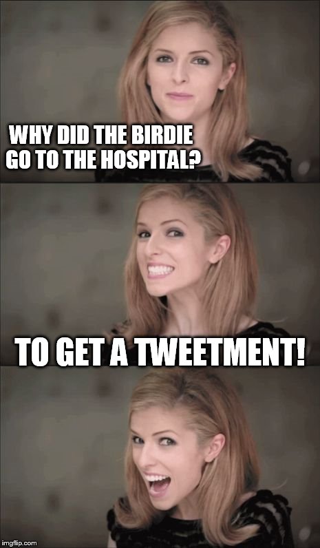 Bad Pun Anna Kendrick | WHY DID THE BIRDIE GO TO THE HOSPITAL? TO GET A TWEETMENT! | image tagged in memes,bad pun anna kendrick,funny,funny memes,meme | made w/ Imgflip meme maker