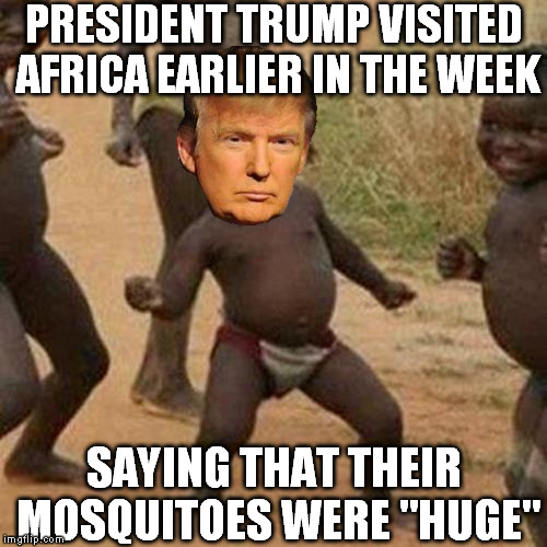 Third World Success Trump | PRESIDENT TRUMP VISITED AFRICA EARLIER IN THE WEEK; SAYING THAT THEIR MOSQUITOES WERE "HUGE" | image tagged in memes,third world success kid,donald trump,zika virus,huge | made w/ Imgflip meme maker
