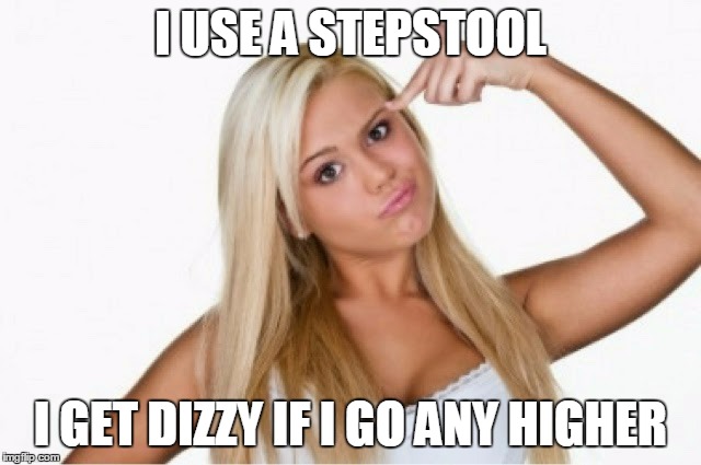 I USE A STEPSTOOL I GET DIZZY IF I GO ANY HIGHER | made w/ Imgflip meme maker