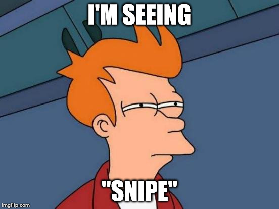 Futurama Fry Meme | I'M SEEING "SNIPE" | image tagged in memes,futurama fry | made w/ Imgflip meme maker