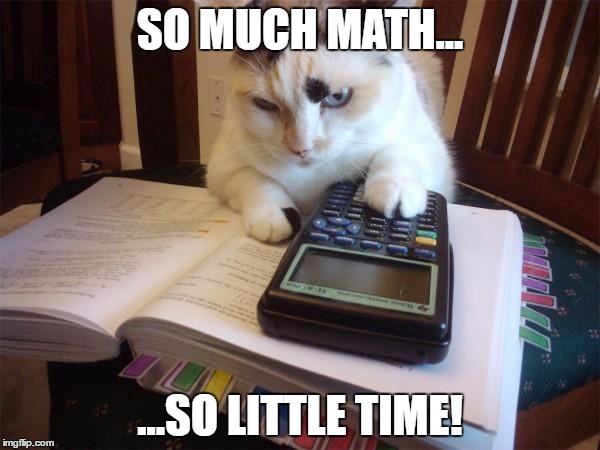 Math cat | SO MUCH MATH... ...SO LITTLE TIME! | image tagged in math cat | made w/ Imgflip meme maker