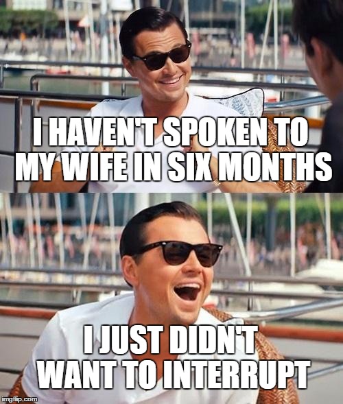 Leonardo Dicaprio Wolf Of Wall Street | I HAVEN'T SPOKEN TO MY WIFE IN SIX MONTHS; I JUST DIDN'T WANT TO INTERRUPT | image tagged in memes,leonardo dicaprio wolf of wall street | made w/ Imgflip meme maker