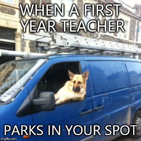 Disbelief Dog | WHEN A FIRST YEAR TEACHER; PARKS IN YOUR SPOT | image tagged in disbelief dog | made w/ Imgflip meme maker