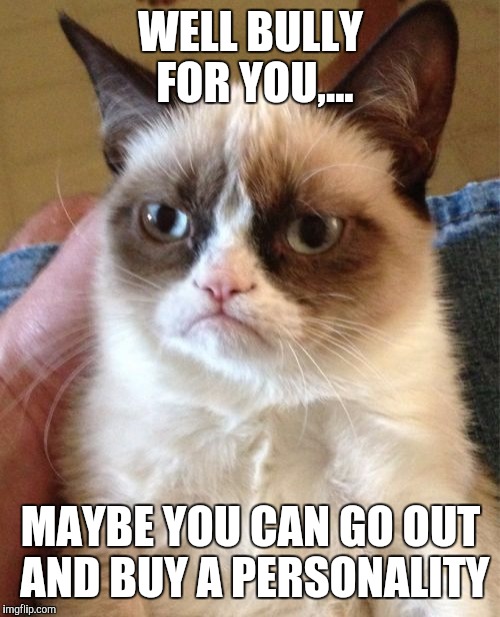 Grumpy Cat Meme | WELL BULLY FOR YOU,... MAYBE YOU CAN GO OUT AND BUY A PERSONALITY | image tagged in memes,grumpy cat | made w/ Imgflip meme maker