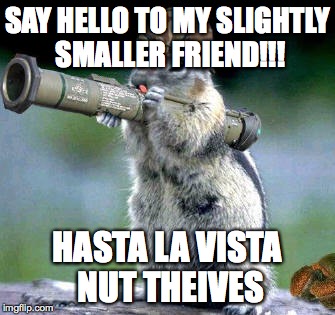Bazooka Squirrel Meme | SAY HELLO TO MY SLIGHTLY SMALLER FRIEND!!! HASTA LA VISTA NUT THEIVES | image tagged in memes,bazooka squirrel | made w/ Imgflip meme maker