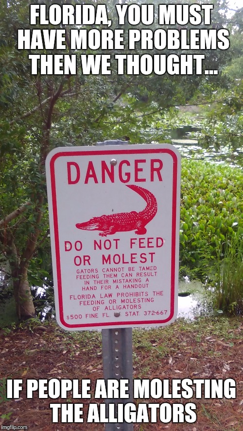 FLORIDA, YOU MUST HAVE MORE PROBLEMS THEN WE THOUGHT... IF PEOPLE ARE MOLESTING THE ALLIGATORS | image tagged in memes,florida,alligators,funny memes,alligator | made w/ Imgflip meme maker