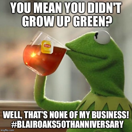 But That's None Of My Business | YOU MEAN YOU DIDN'T GROW UP GREEN? WELL, THAT'S NONE OF MY BUSINESS!  #BLAIROAKS50THANNIVERSARY | image tagged in memes,but thats none of my business,kermit the frog | made w/ Imgflip meme maker