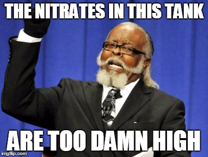 Too Damn High Meme | THE NITRATES IN THIS TANK; ARE TOO DAMN HIGH | image tagged in memes,too damn high | made w/ Imgflip meme maker