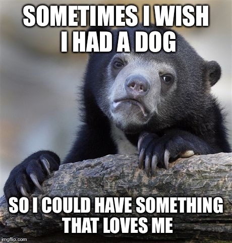 Confession Bear Meme | SOMETIMES I WISH I HAD A DOG; SO I COULD HAVE SOMETHING THAT LOVES ME | image tagged in memes,confession bear | made w/ Imgflip meme maker