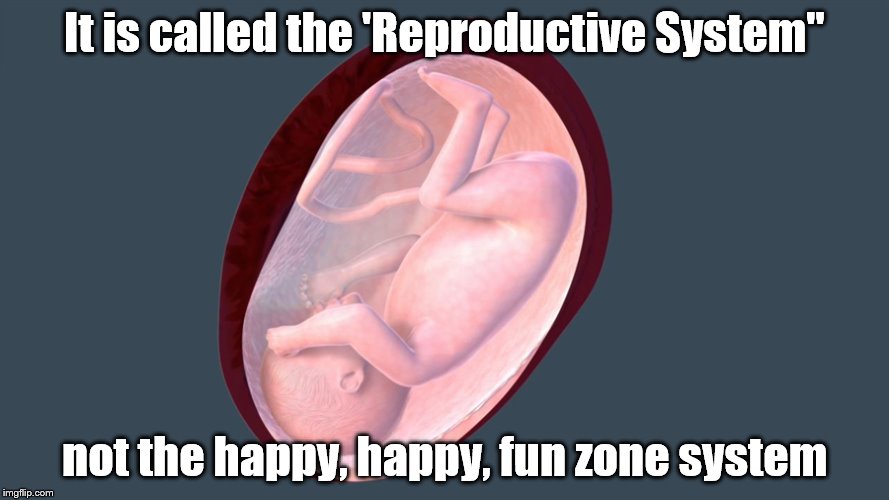 Marital act I | It is called the 'Reproductive System"; not the happy, happy, fun zone system | image tagged in the marital act i | made w/ Imgflip meme maker